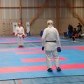 combat handi karate
